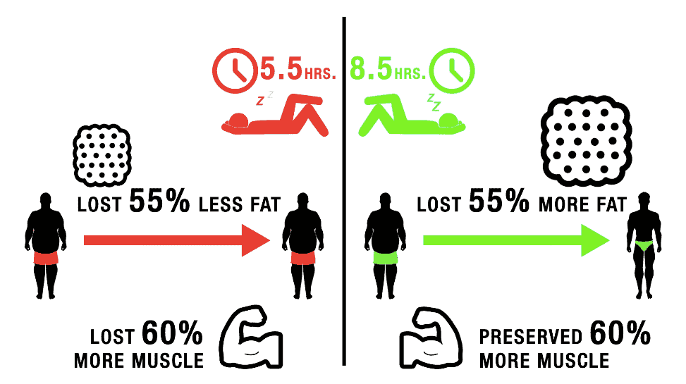 Illustration showing the importance of sleep for muscle recovery and growth