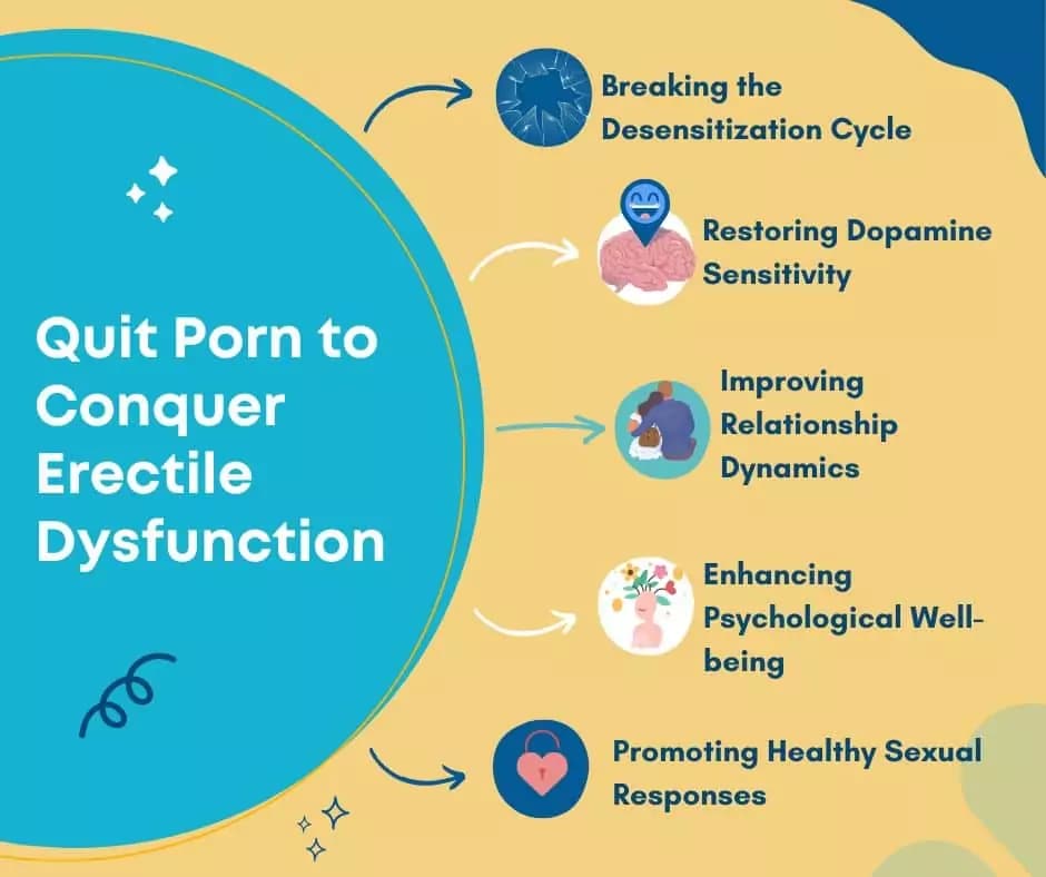 Brain dopamine changes when quitting porn